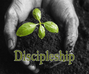 discipleship